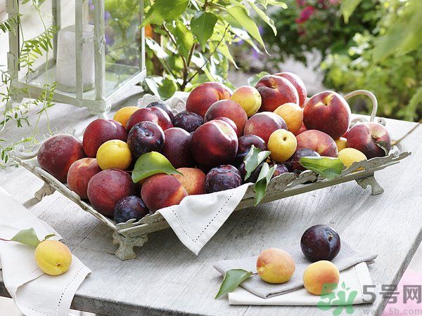 李子皮能吃嗎？李子皮的功效作用