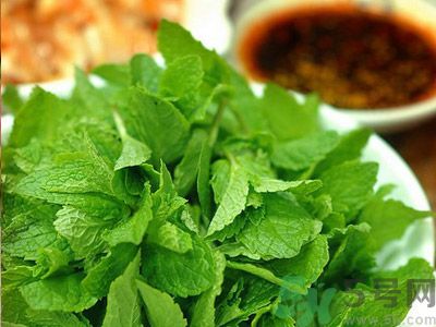 薄荷有什么功效？薄荷的攻效是什么？