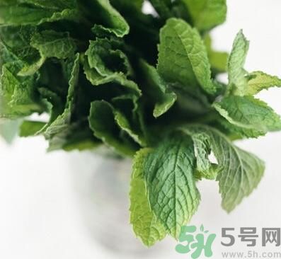 薄荷有什么功效？薄荷的攻效是什么？