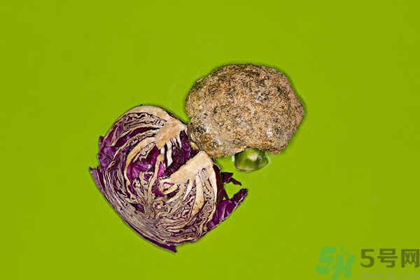 包菜外面爛了還能吃嗎？包菜里面有花可以吃嗎？
