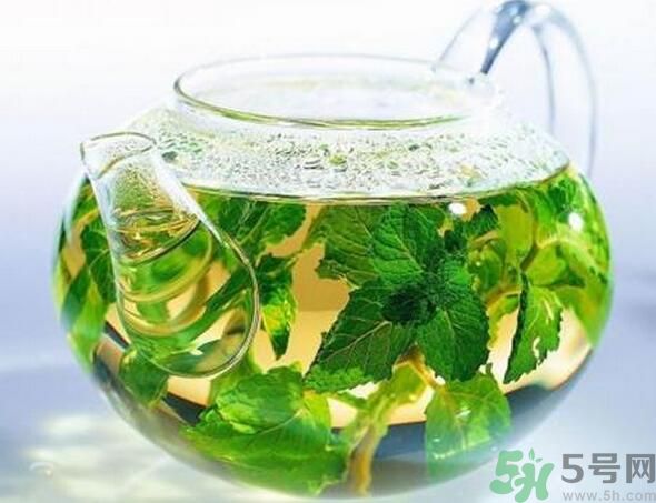 薄荷茶怎么泡好喝？薄荷茶的沖泡方法有哪些？