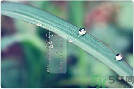 小滿容易得什么皮膚??？小滿得了皮膚病怎么辦？