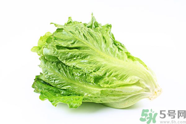 生菜在冰箱放久了能吃嗎？如何分辨生菜新不新鮮？