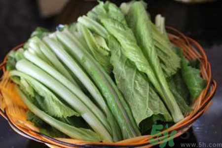 苦菜是熱性還是涼性？苦菜是涼性的嗎？