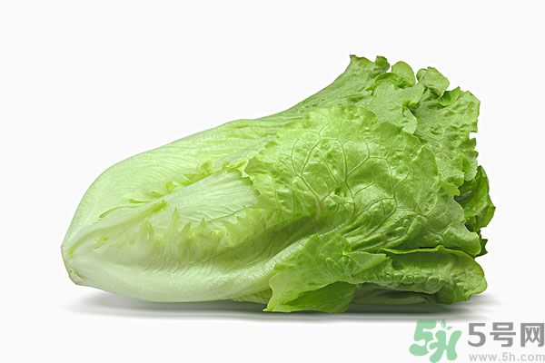 生菜在冰箱放久了能吃嗎？如何分辨生菜新不新鮮？