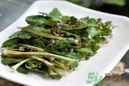 苦菜是酸性還是堿性？苦菜是堿性的嗎？