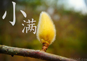 小滿名字的由來？小滿是什么意思？