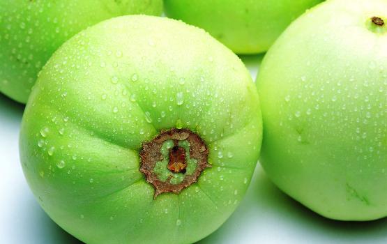 甜瓜可以放幾天？甜瓜可以保存幾天才會(huì)壞？