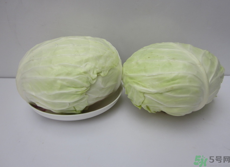 包菜榨汁要加水嗎？包菜汁怎么做？