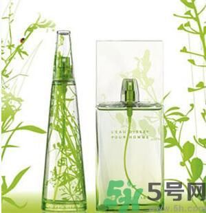 蚊子叮的包過幾天又癢是為什么？蚊子叮的包過幾天又癢怎么辦？