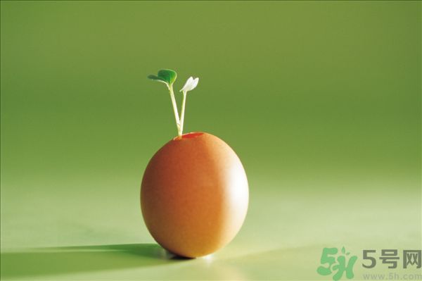 生菜和雞蛋能一起吃嗎？生菜和雞蛋一起怎么做？
