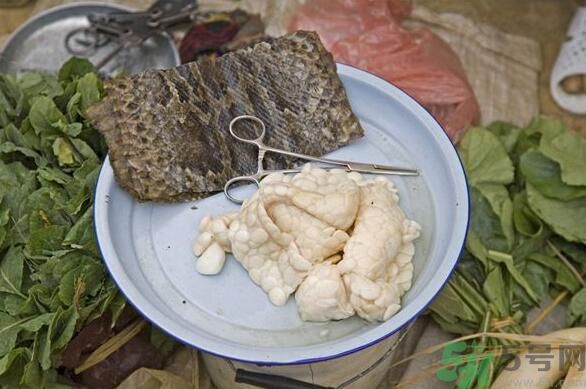 夏天吃蛇肉可以清火嗎？夏天吃蛇肉可以降火嗎？
