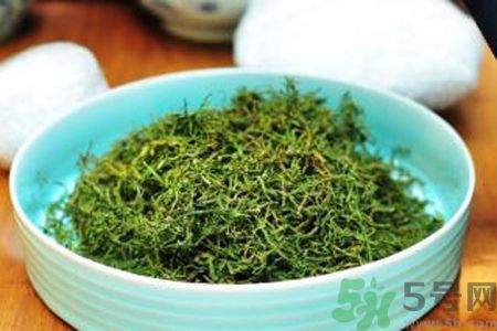 苦菜茶可以和綠茶一起喝嗎？苦菜茶可以和其他茶一起喝嗎？
