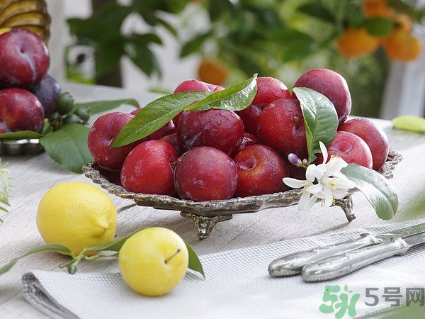 為什么說李子樹下埋死人？李子的食用禁忌有哪些？