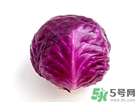 紫甘藍(lán)是涼性嗎？紫甘藍(lán)是涼性還是熱性？