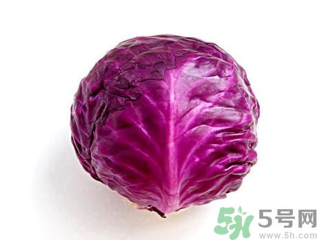 紫甘藍是發(fā)物嗎？紫甘藍是不是發(fā)物？