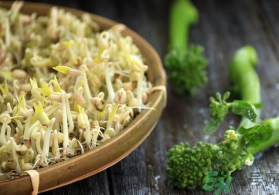 怎樣自己發(fā)綠豆芽？綠豆芽怎樣自己發(fā)？