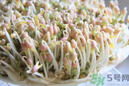 吃毛豆可以減肥嗎？吃毛豆有減肥作用嗎？
