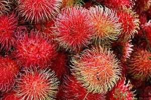 吃紅毛丹上火嗎？吃紅毛丹上火怎么辦？