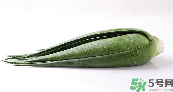 經(jīng)期可以吃蘆薈嗎？經(jīng)期吃蘆薈會(huì)肚子痛嗎？