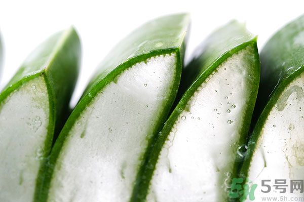 孕婦可以吃蘆薈嗎？孕婦吃蘆薈會(huì)怎樣？