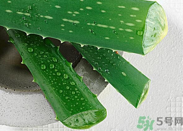 夏天吃蘆薈可以降火嗎？夏天吃蘆薈能清火嗎？