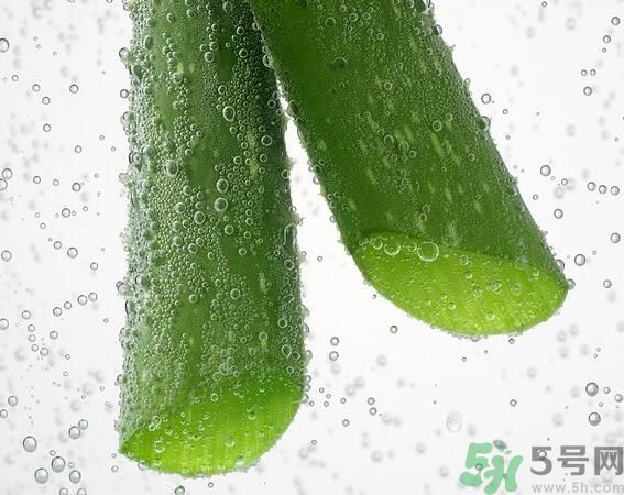 夏天吃蘆薈可以降火嗎？夏天吃蘆薈能清火嗎？