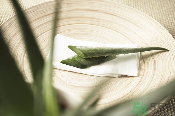 蘆薈是發(fā)物嗎？蘆薈是不是發(fā)物？