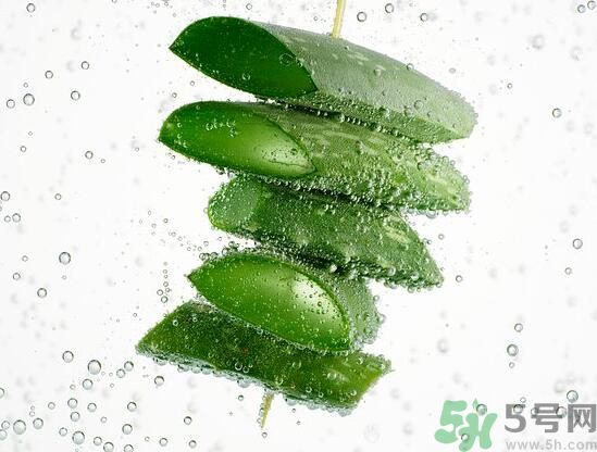 男性可以吃蘆薈嗎？男性吃蘆薈好不好？