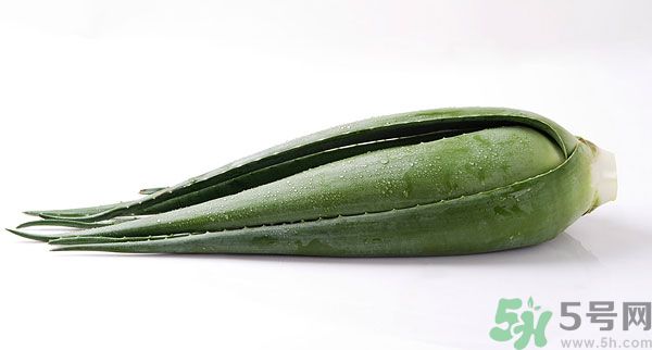 蘆薈的皮可以吃嗎？吃蘆薈要不要削皮？