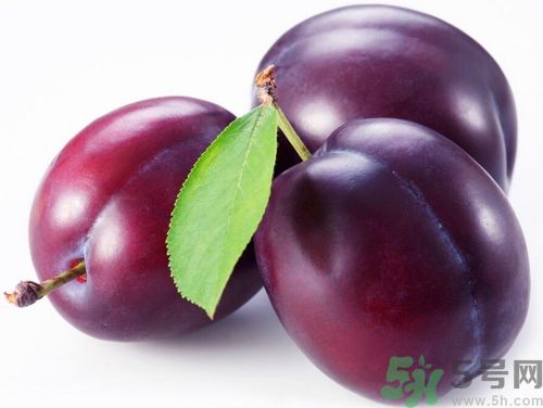 芒果可以和李子一起吃嗎？芒果和李子一起吃好嗎？