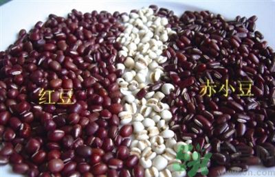 紅豆和赤小豆可以一起煮嗎?紅豆和赤小豆的區(qū)別 紅豆和赤小豆可以一起煮嗎?紅豆和赤小豆的區(qū)別