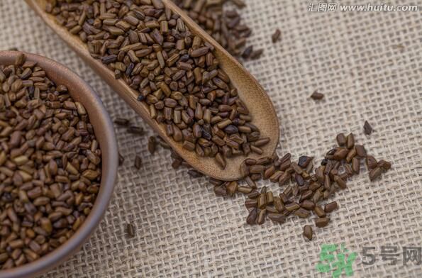 孕婦可以喝決明子茶通便嗎？孕婦通便可以喝決明子茶嗎？