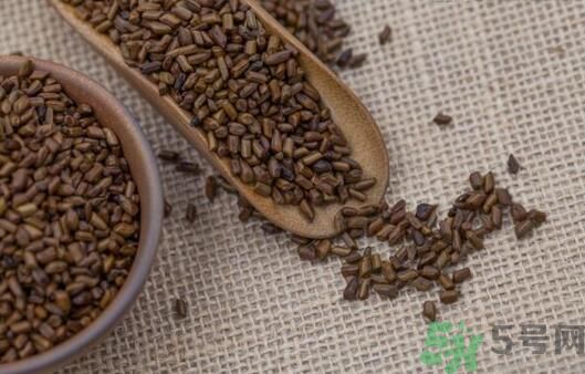 決明子泡茶加什么好？決明子和什么一起泡好？