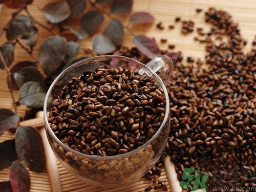 什么樣的決明子好？怎樣選購好的決明子？