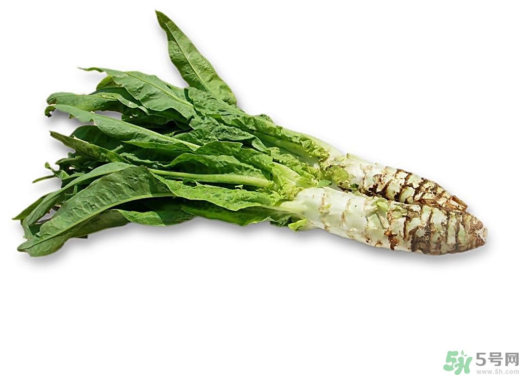 新鮮的萵筍怎么保存？削皮的萵筍怎么保存？