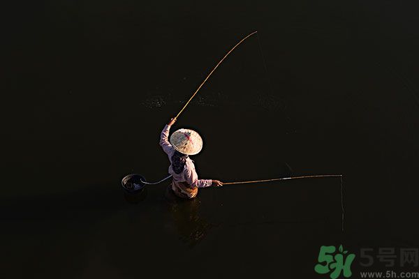 雷陣雨可以釣魚嗎？雷陣雨天氣適合釣魚嗎？