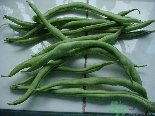 四季豆沒熟吃了會中毒嗎?四季豆沒煮熟吃了會怎樣 四季豆沒熟吃了會中毒嗎?四季豆沒煮熟吃了會怎樣