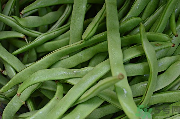 四季豆沒(méi)炒熟有毒嗎？四季豆沒(méi)熟吃了會(huì)怎樣？