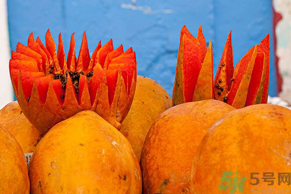 木瓜是水果還是蔬菜？青木瓜是水果嗎？