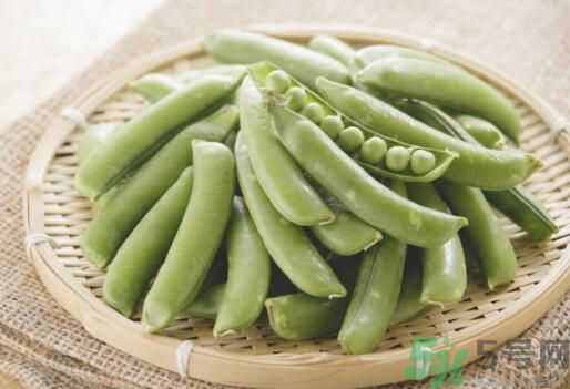 毛豆和豌豆是一種嗎？毛豆和豌豆有什么區(qū)別？