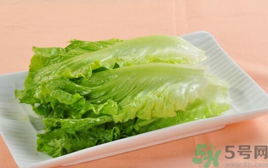 生菜會引起過敏嗎？吃生菜會過敏嗎？