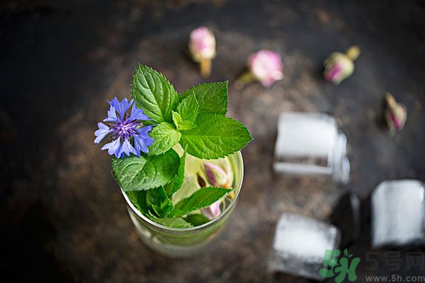 薄荷曬干泡茶有什么好處？薄荷曬干泡水的功效