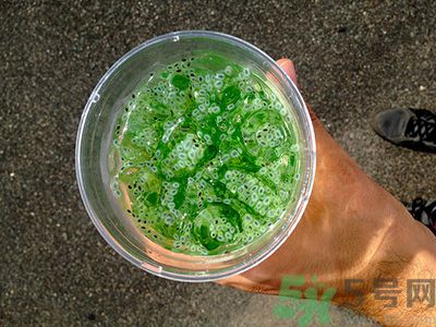 腹瀉能吃四季豆嗎？拉肚子可不可以吃四季豆？