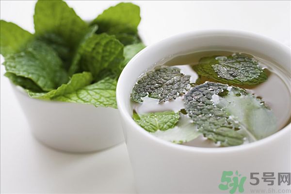 薄荷能美白嗎？薄荷的功效與作用