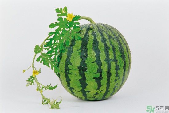 西瓜怎么挑熟的甜的？西瓜的儲存方法？