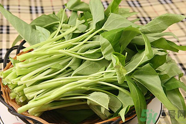 空心菜是菠菜嗎？空心菜是不是菠菜？