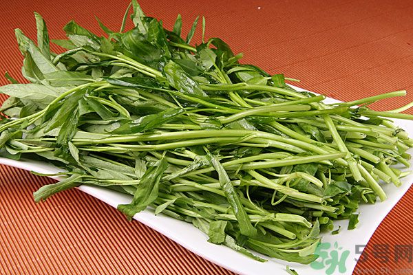 空心菜是菠菜嗎？空心菜是不是菠菜？