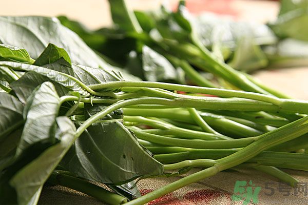 空心菜是菠菜嗎？空心菜是不是菠菜？