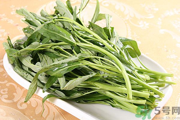 空心菜是菠菜嗎？空心菜是不是菠菜？